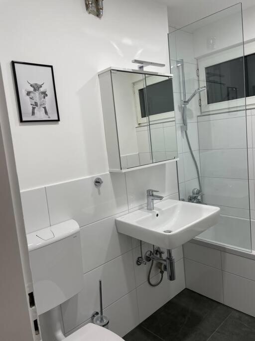 Penthouse, Offenburg,Europapark Leilighet Eksteriør bilde